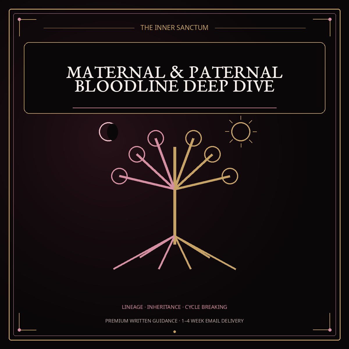 Maternal and paternal lineage reading cover